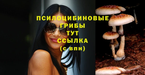 крисы Аркадак