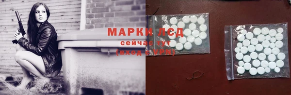 стаф Арсеньев