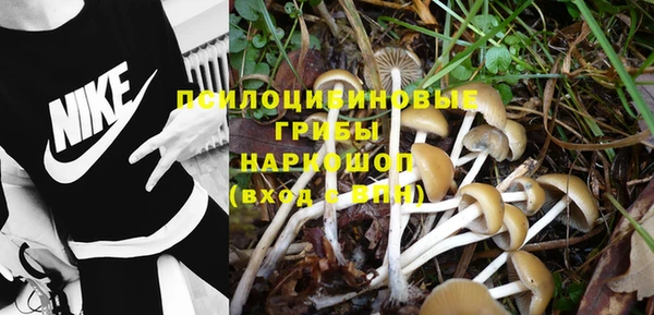 кокс Армянск