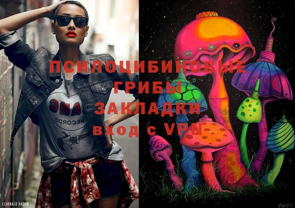 прущие грибы Осинники