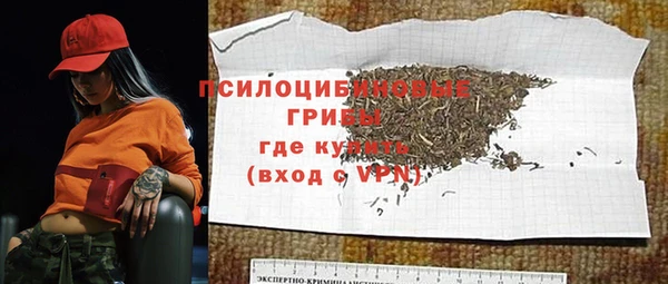 спайс Баксан