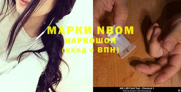 стаф Арсеньев